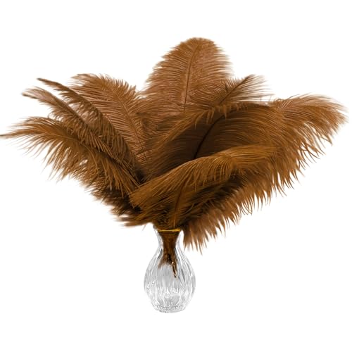 20 Stück natürliche braune Straußenfedern, 25–30 cm, Federn in Großpackung für Hochzeits- und Party-Tafelaufsätze, Heimdekoration und DIY-Kleidung, Gatsby-Dekorationen 20 Stück natürliche braune Straußenfedern, 25–30 cm, Federn in Großpackung für Hochzeits- und Party-Tafelaufsätze, Heimdekoration und DIY-Kleidung, Gatsby-Dekorationen von ASKFNASDKMFN