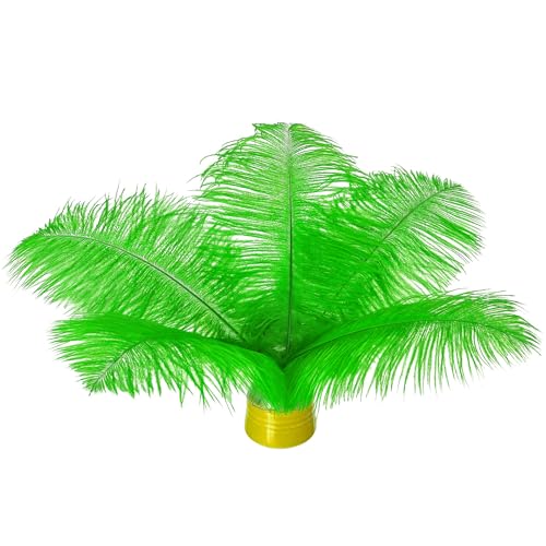 20 Stück natürliche grüne Straußenfedern, 20-25 cm, Großpackung für selbstgemachte Kunstwerke und DIY-Kleidung, Federstifte, Traumfänger, Tischdekoration 20 Stück natürliche grüne Straußenfedern, 20-25 cm, Großpackung für selbstgemachte Kunstwerke und DIY-Kleidung, Federstifte, Traumfänger, Tischdekoration von ASKFNASDKMFN