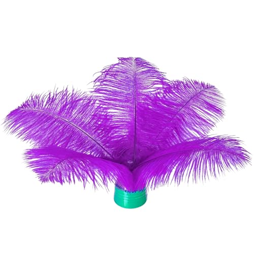 20 Stück natürliche violette Straußenfedern, 15–20 cm (6–8 Zoll), lose für selbstgemachte Kunstwerke und selbstgemachte Kleidung, Federstifte, Traumfänger, Tischdekoration. von ASKFNASDKMFN