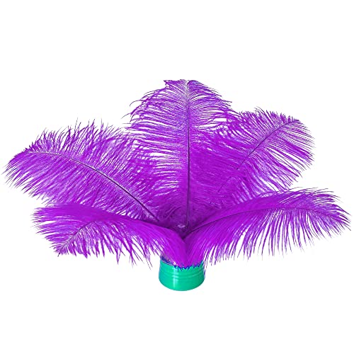20 Stück natürliche violette Straußenfedern, 20–25 cm (8–10 Zoll), lose für selbstgemachte Kunstwerke und selbstgemachte Kleidung, Federstifte, Traumfänger, Tischdekoration. von ASKFNASDKMFN