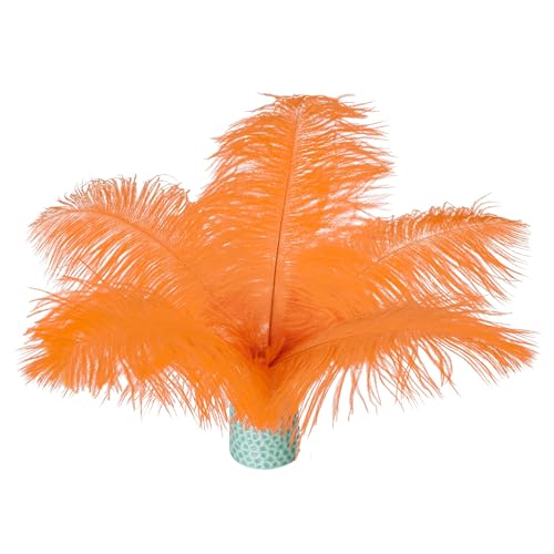 20 Stück orangefarbene Straußenfedern, 15–20 cm (6–8 Zoll), lose für selbstgemachte Kunstwerke und selbstgemachte Kleidung, Federstifte, Traumfänger, Tischdekoration. von ASKFNASDKMFN