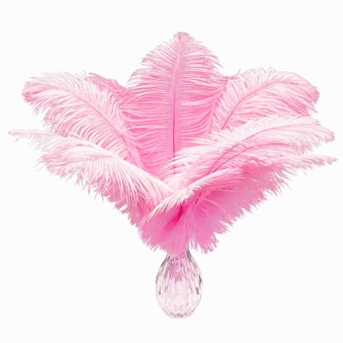 20 Stück rosa Straußenfedern 10-12 Zoll (25-30 cm) Federn in großen Mengen für Heimdekoration und DIY-Kleidungsdekoration, Gatsby-Dekorationen von ASKFNASDKMFN