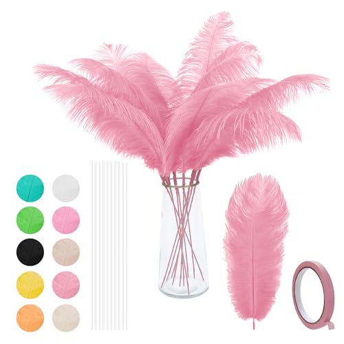 24 Stück natürliche Straußenfedern, 25–30 cm, für Hochzeitsblumenarrangements und Heimdekoration, Party-Tischdekoration. (Hellrosa) von ASKFNASDKMFN