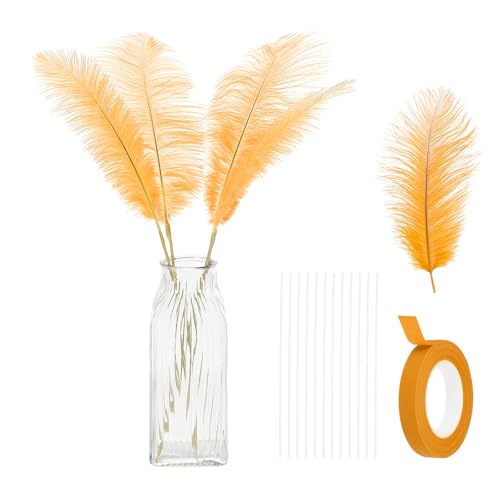 24 Stück natürliche Straußenfedern, 25–30 cm, großes Straußenfeder-Set zum Basteln, für Vasen, Heimdekoration, Hochzeiten, Partys, Tafelaufsätze, Blumenarrangements (Goldton) von ASKFNASDKMFN