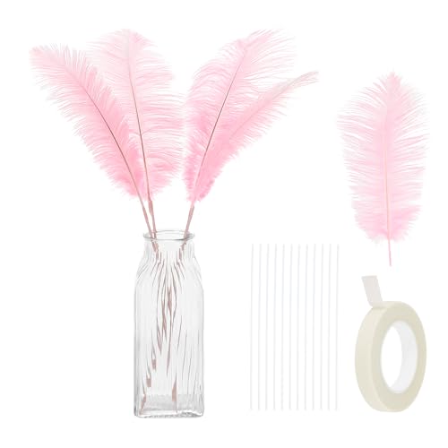 24 Stück natürliche Straußenfedern, 25–30 cm, großes Straußenfeder-Set zum Basteln, für Vasen, Heimdekoration, Hochzeiten, Partys, Tafelaufsätze, Blumenarrangements (Hellrosa) von ASKFNASDKMFN