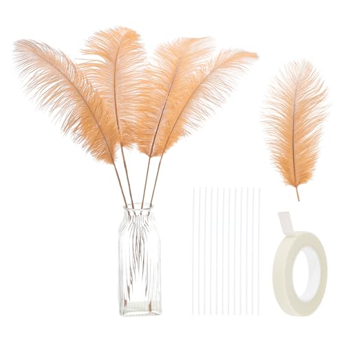 24 Stück natürliche Straußenfedern, 30–35 cm, großes Straußenfeder-Set zum Basteln, für Vasen, Heimdekoration, Hochzeiten, Partys, Tafelaufsätze, Blumenarrangements (Champagnergold) von ASKFNASDKMFN