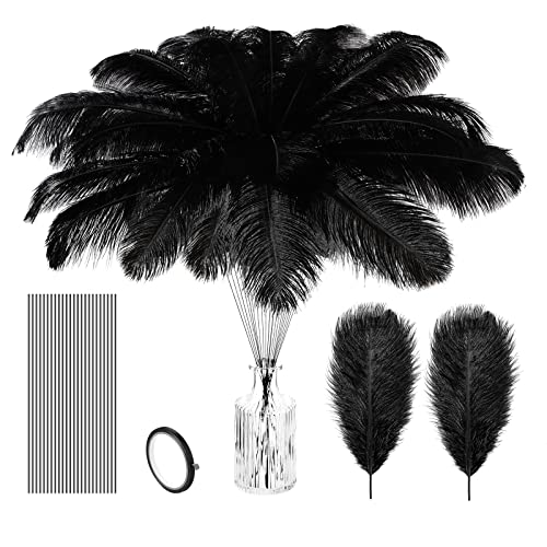 25-teiliges Set aus natürlichen Straußenfedern, 12 Stück 30,5 - 35,6 cm Feder-Mittelstücke für Tische, große Federn, 12 Stück Drähte und Klebeband für Maskerade, Party, Hochzeit, Arrangement 25-teiliges Set aus natürlichen Straußenfedern, 12 Stück 30,5 - 35,6 cm Feder-Mittelstücke für Tische, große Federn, 12 Stück Drähte und Klebeband für Maskerade, Party, Hochzeit, Arrangement von ASKFNASDKMFN