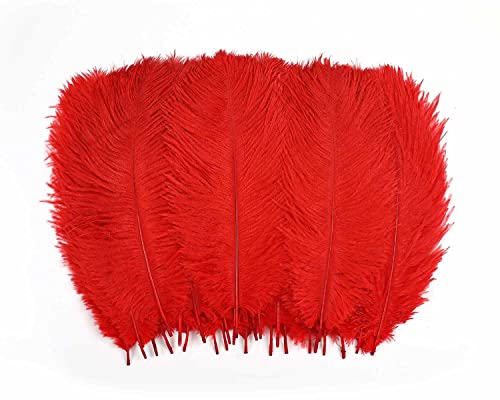 30 Stück Straußenfedern, weiche Naturfedern zum Basteln, Tafelaufsätze, Partys, Hochzeiten, Heimdekorationen, Traumfänger, Vasen (Rot, 25,4–30,5 cm) von ASKFNASDKMFN