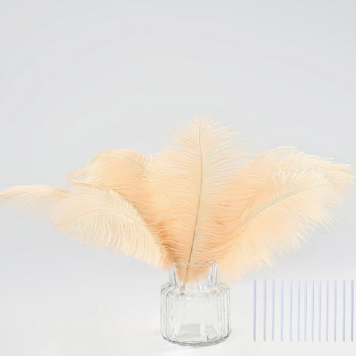 35 natürliche Champagner-Straußenfedern, Gesamtlänge 25,4–30,5 cm, Bastelset, Federn, Großpackung für Hüte, Hochzeit, Party, Tafelaufsätze, DIY-Blumen und Heimdekoration, Pampasgras-Dekoration 35 natürliche Champagner-Straußenfedern, Gesamtlänge 25,4–30,5 cm, Bastelset, Federn, Großpackung für Hüte, Hochzeit, Party, Tafelaufsätze, DIY-Blumen und Heimdekoration, Pampasgras-Dekoration von ASKFNASDKMFN