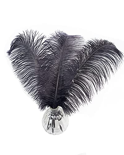40,6–45,7 cm schwarze Straußenfedern, zum Basteln für Hochzeit, Party, Tafelaufsatz, Heimdekoration, Basteln, 10 Stück von ASKFNASDKMFN