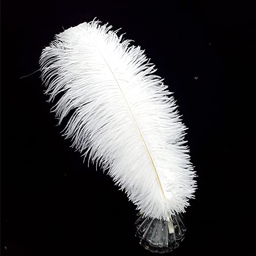 40,6–45,7 cm weiße Straußenfedern, zum Basteln für Hochzeit, Party, Tafelaufsatz, Heimdekoration, Basteln, 10 Stück 40,6–45,7 cm weiße Straußenfedern, zum Basteln für Hochzeit, Party, Tafelaufsatz, Heimdekoration, Basteln, 10 Stück von ASKFNASDKMFN
