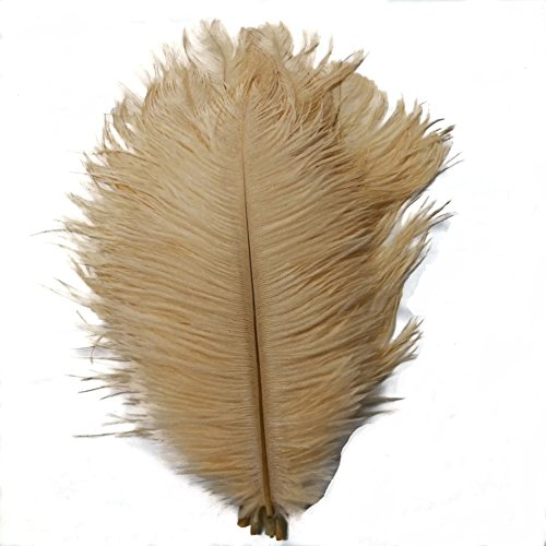 40 Stück 30-35 cm natürliche Straußenfedern für Heimwerker, Zuhause, Hochzeit, Party, Büro, Dekoration (Champagner) von ASKFNASDKMFN