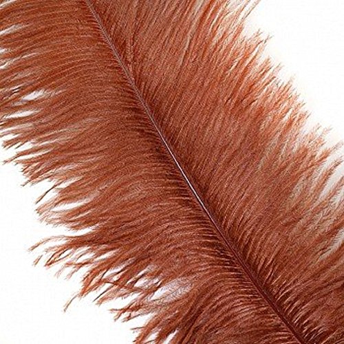 40 Stück 30-35 cm natürliche Straußenfedern für Heimwerker, Zuhause, Hochzeit, Party, Büro, Dekoration (Kaffee) von ASKFNASDKMFN