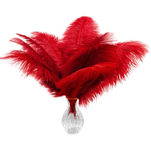 40 Stück natürliche rote Straußenfedern, 25–30 cm, Federn in Großpackung für Hochzeits- und Party-Tischdekorationen, Heimdekoration und DIY-Kleidung, Gatsby-Dekorationen 40 Stück natürliche rote Straußenfedern, 25–30 cm, Federn in Großpackung für Hochzeits- und Party-Tischdekorationen, Heimdekoration und DIY-Kleidung, Gatsby-Dekorationen von ASKFNASDKMFN