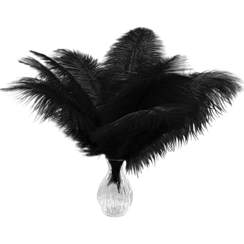 40 Stück natürliche schwarze Straußenfedern, 25–30 cm, Federn in Großpackung für Hochzeits- und Party-Tischdekorationen, Heimdekoration und DIY-Kleidung, Gatsby-Dekorationen 40 Stück natürliche schwarze Straußenfedern, 25–30 cm, Federn in Großpackung für Hochzeits- und Party-Tischdekorationen, Heimdekoration und DIY-Kleidung, Gatsby-Dekorationen von ASKFNASDKMFN