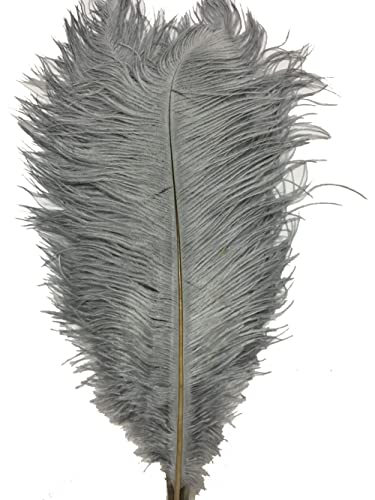 50 Stück 12''~14''(30~35cm) natürliche Straußenfedern für Heimwerker, Zuhause, Hochzeit, Party, Bürodekoration (grau) von ASKFNASDKMFN