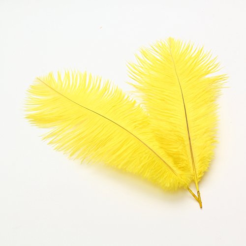 6-8 Zoll (15-20 cm) Straußenfedern für Hochzeitsmittelstücke, Heimdekoration, 10er-Pack (gelb) von ASKFNASDKMFN