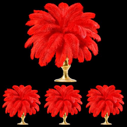 60 Stück natürliche Straußenfedern für Tafelaufsätze, 30,5 - 35,6 cm, 25,4 - 30,5 cm, 20,3 - 25,4 cm, Vasenfedern, Dekoration für Hochzeit, Party, Tafelaufsatz, Blumenarrangement, Heimdekoration (rot) 60 Stück natürliche Straußenfedern für Tafelaufsätze, 30,5 - 35,6 cm, 25,4 - 30,5 cm, 20,3 - 25,4 cm, Vasenfedern, Dekoration für Hochzeit, Party, Tafelaufsatz, Blumenarrangement, Heimdekoration (rot) von ASKFNASDKMFN