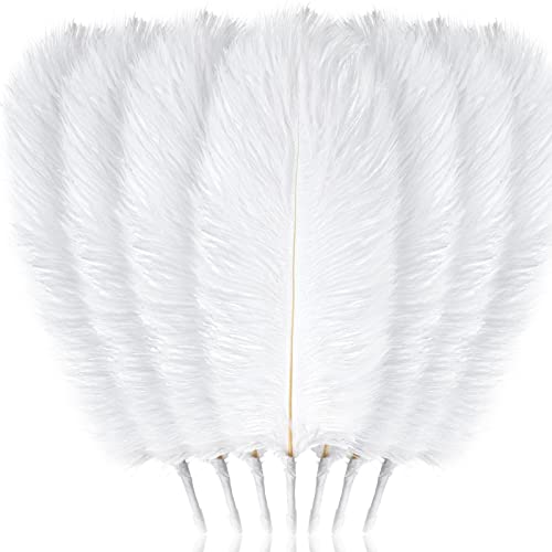 80 Stück Maskerade-Party-Dekorationen, Federn für Tafelaufsätze, Tisch, natürliche Straußenfedern, zum Basteln, Hochzeitsdekoration, Geschenk (weiß, 30,5 bis 35,6 cm, 35,6 cm bis 40,6 cm, 40,6 cm bis 80 Stück Maskerade-Party-Dekorationen, Federn für Tafelaufsätze, Tisch, natürliche Straußenfedern, zum Basteln, Hochzeitsdekoration, Geschenk (weiß, 30,5 bis 35,6 cm, 35,6 cm bis 40,6 cm, 40,6 cm bis von ASKFNASDKMFN