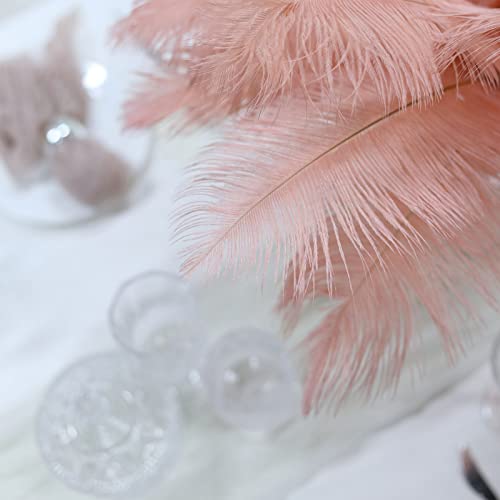 Authentische Straußenfedern für Tafelaufsätze, Hochzeit, Party, Tischdekoration, 33 - 38 cm, Mauve, 12 Stück Authentische Straußenfedern für Tafelaufsätze, Hochzeit, Party, Tischdekoration, 33 - 38 cm, Mauve, 12 Stück von ASKFNASDKMFN