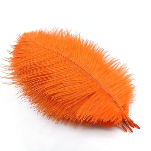 Bunte Straußenfedern, 10 Stück, zum Basteln, Schmuckherstellung, Hochzeits- und Partydekoration, Federbusch, 20–25 cm, echte Federn, Tischdekoration (Farbe: Orange Federn, Größe: 10 Stück) von ASKFNASDKMFN