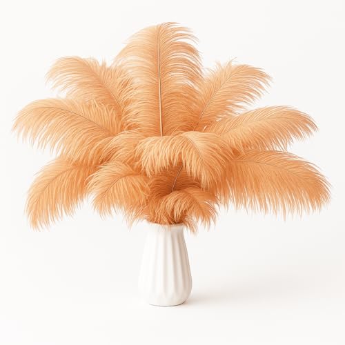 Champagner-Straußenfedern, 35,6 - 40,6 cm, Großpackung Federn für Hochzeiten, Vintage-Stil, 1920er-Jahre-Stil, Basteln, Karneval, Party-Dekoration, Blumenarrangement, böhmische Heimdekoration Champagner-Straußenfedern, 35,6 - 40,6 cm, Großpackung Federn für Hochzeiten, Vintage-Stil, 1920er-Jahre-Stil, Basteln, Karneval, Party-Dekoration, Blumenarrangement, böhmische Heimdekoration von ASKFNASDKMFN