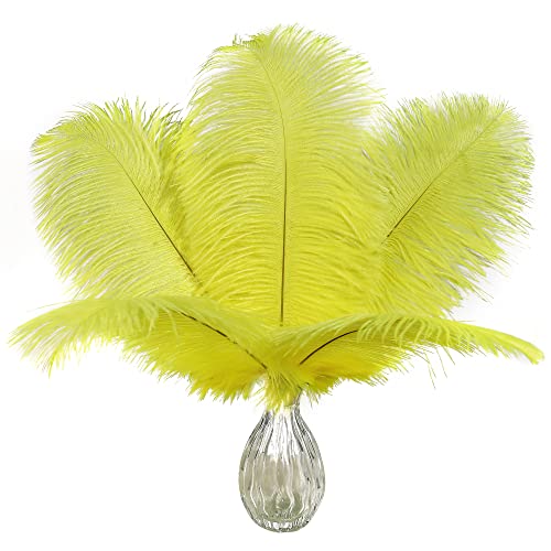 Fluoreszierende gelbe Straußenfedern – 24 Stück 20–25 cm große Federn in Großpackung für Vasen, Party-Tischdekorationen, Karnevalsdekorationen und Heimdekoration Fluoreszierende gelbe Straußenfedern – 24 Stück 20–25 cm große Federn in Großpackung für Vasen, Party-Tischdekorationen, Karnevalsdekorationen und Heimdekoration von ASKFNASDKMFN