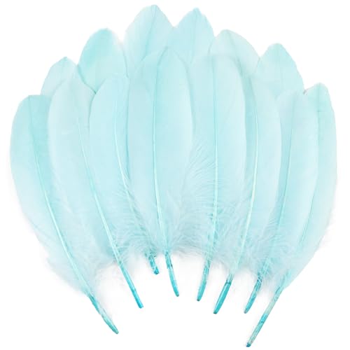 Gänsefedern, natürlich, 15-20 cm, Hellblau, für Bastelarbeiten, Cosplay, Hochzeit, Party, Halloween, Dekoration, Gänsefedern, 120 Stück Gänsefedern, natürlich, 15-20 cm, Hellblau, für Bastelarbeiten, Cosplay, Hochzeit, Party, Halloween, Dekoration, Gänsefedern, 120 Stück von ASKFNASDKMFN