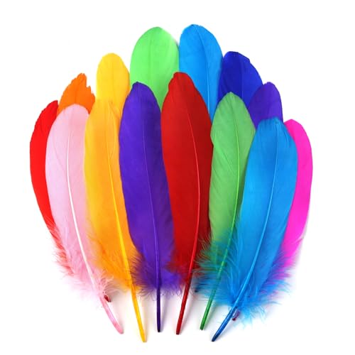 Gänsefedern in verschiedenen Farben, 15-20 cm, für Bastelarbeiten, Cosplay, Hochzeit, Party, Halloween, Dekoration, Gänsefedern, 120 Stück Gänsefedern in verschiedenen Farben, 15-20 cm, für Bastelarbeiten, Cosplay, Hochzeit, Party, Halloween, Dekoration, Gänsefedern, 120 Stück von ASKFNASDKMFN