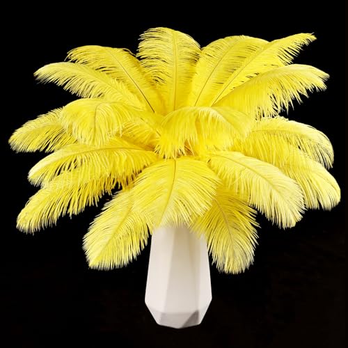 Gelbe Straußenfedern, 12 Stück, natürlich, 25 cm - 30 cm, für Bastelarbeiten, Hochzeit, Party, Tafelaufsätze, Halloween und Heimdekoration, Federn Gelbe Straußenfedern, 12 Stück, natürlich, 25 cm - 30 cm, für Bastelarbeiten, Hochzeit, Party, Tafelaufsätze, Halloween und Heimdekoration, Federn von ASKFNASDKMFN