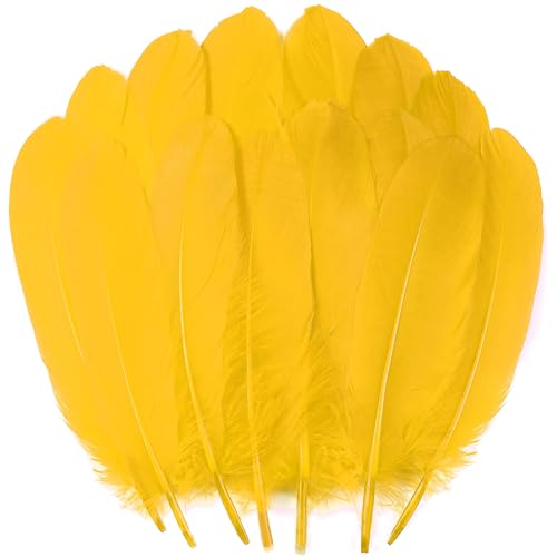 Goldfarbene Bastelfedern in Großpackung – 120 Stück 6–8 Zoll große Gänsefedern in Großpackung für selbstgemachte Halloween-Dekorationen, Schmuck, Cosplay und Bekleidungszubehör Goldfarbene Bastelfedern in Großpackung – 120 Stück 6–8 Zoll große Gänsefedern in Großpackung für selbstgemachte Halloween-Dekorationen, Schmuck, Cosplay und Bekleidungszubehör von ASKFNASDKMFN