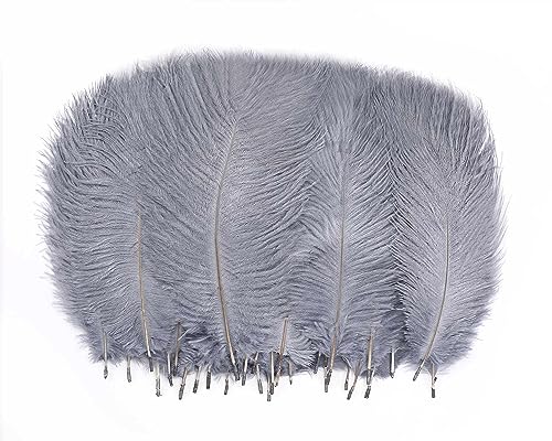 Graue Straußenfedern, Großpackung, 25,4 - 30,5 cm, weiche, natürliche Federn für Tafelaufsätze von Great Gatsby & Hochzeit, Party, Heimvasen, Weihnachtsbaumschmuck (Grau, 25,4 - 30,5 cm) von ASKFNASDKMFN