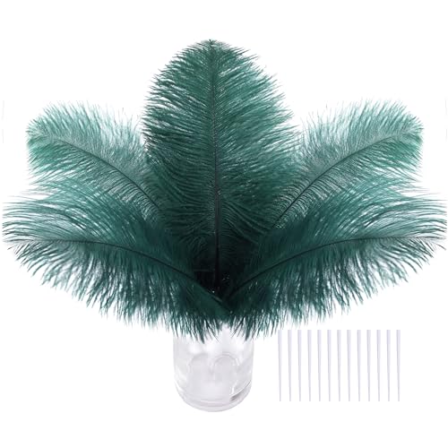 Green Craft Straußenfedern, 20,3–25,4 cm, Straußenfeder-Set für Tafelaufsätze, Kindergarten-Bastelarbeiten, Traumfänger und DIY-Projekte, Dunkelgrün, 30 Stück Green Craft Straußenfedern, 20,3–25,4 cm, Straußenfeder-Set für Tafelaufsätze, Kindergarten-Bastelarbeiten, Traumfänger und DIY-Projekte, Dunkelgrün, 30 Stück von ASKFNASDKMFN