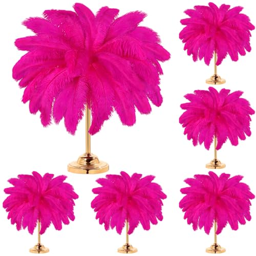 Große Straußenfedern, 35,6 - 40,6 cm, Großpackung für Bastelarbeiten, Hochzeit, Party, Tafelaufsatz, Vase, 80 Stück Große Straußenfedern, 35,6 - 40,6 cm, Großpackung für Bastelarbeiten, Hochzeit, Party, Tafelaufsatz, Vase, 80 Stück von ASKFNASDKMFN