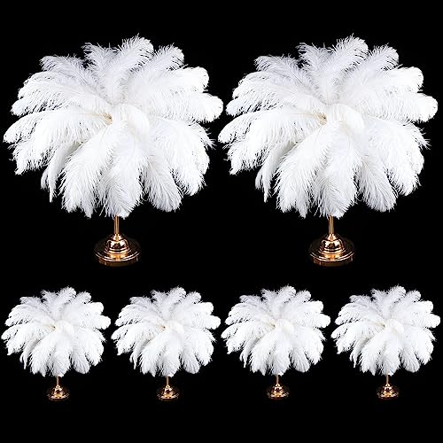 Große Straußenfedern, 35,6 - 40,6 cm, Großpackung für Bastelarbeiten, Hochzeit, Party, Tafelaufsatz, Vase, 80 Stück Große Straußenfedern, 35,6 - 40,6 cm, Großpackung für Bastelarbeiten, Hochzeit, Party, Tafelaufsatz, Vase, 80 Stück von ASKFNASDKMFN