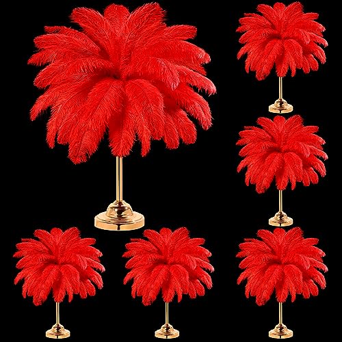 Große Straußenfedern, 35,6 - 40,6 cm, Großpackung für Bastelarbeiten, Hochzeit, Party, Tafelaufsatz, Vase, 80 Stück Große Straußenfedern, 35,6 - 40,6 cm, Großpackung für Bastelarbeiten, Hochzeit, Party, Tafelaufsatz, Vase, 80 Stück von ASKFNASDKMFN