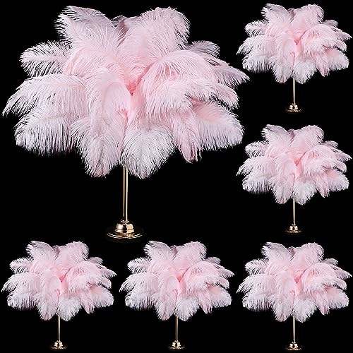 Große Straußenfedern, 35,6 - 40,6 cm, Großpackung für Bastelarbeiten, Hochzeit, Party, Tafelaufsatz, Vase, 80 Stück Große Straußenfedern, 35,6 - 40,6 cm, Großpackung für Bastelarbeiten, Hochzeit, Party, Tafelaufsatz, Vase, 80 Stück von ASKFNASDKMFN