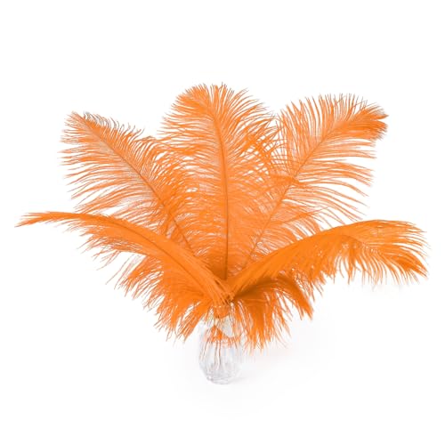 Große Straußenfedern in Orange, 25,4–30,5 cm, große orangefarbene Federn für Vase, Hochzeit, Party, Tafelaufsätze und Halloween-Heimdekoration, 24 Stück Große Straußenfedern in Orange, 25,4–30,5 cm, große orangefarbene Federn für Vase, Hochzeit, Party, Tafelaufsätze und Halloween-Heimdekoration, 24 Stück von ASKFNASDKMFN