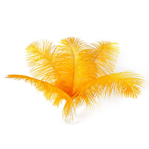 Große goldene Straußenfedern – 24 Stück, 30,5–35,6 cm große Federn für Vasen, Gatsby-Party-Tafelaufsätze, Karneval und Heimdekoration Große goldene Straußenfedern – 24 Stück, 30,5–35,6 cm große Federn für Vasen, Gatsby-Party-Tafelaufsätze, Karneval und Heimdekoration von ASKFNASDKMFN