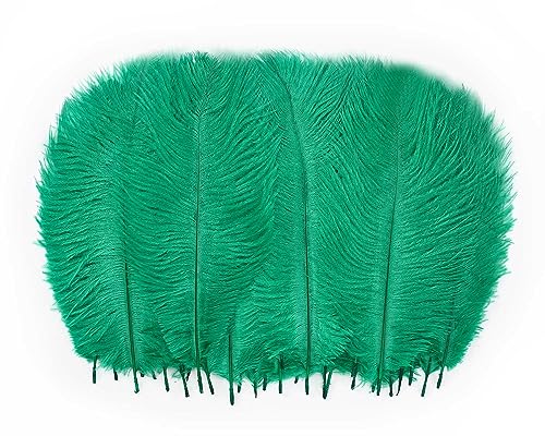 Grüne Straußenfedern, Großpackung 25,4 - 30,5 cm, weiche, natürliche Federn für Tafelaufsätze von Great Gatsby & Hochzeitsfeier, Heimvasen, Weihnachtsbaumschmuck (grün, 25,4 - 30,5 cm) von ASKFNASDKMFN