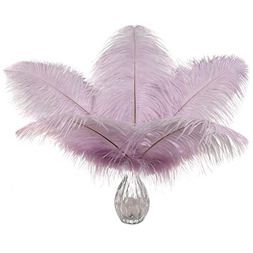 Lavendel-Straußenfedern, Großpackung – 24 Stück, 30,5–35,6 cm, hellviolette Federn für Party-Mittelstücke, Blumenarrangement und Heimdekoration Lavendel-Straußenfedern, Großpackung – 24 Stück, 30,5–35,6 cm, hellviolette Federn für Party-Mittelstücke, Blumenarrangement und Heimdekoration von ASKFNASDKMFN