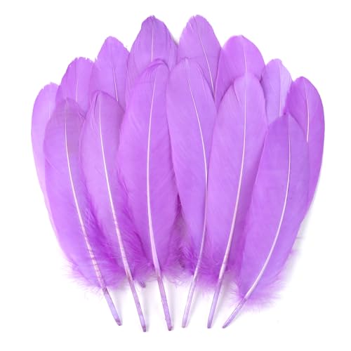 Lignt natürliche Gänsefedern, natürlich, 15-20 cm, für Bastelarbeiten, Cosplay, Hochzeit, Party, Halloween, Dekoration, Gänsefedern, 120 Stück Lignt natürliche Gänsefedern, natürlich, 15-20 cm, für Bastelarbeiten, Cosplay, Hochzeit, Party, Halloween, Dekoration, Gänsefedern, 120 Stück von ASKFNASDKMFN