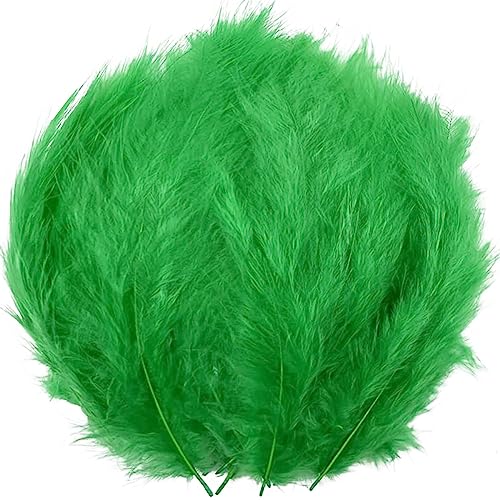 Mardi Gras Federn, grüne Federn, flauschige Truthahnfedern, Marabufedern, 10,2 - 15,2 cm, zum Basteln, Traumfänger, Fransenbesatz, farbige Federn, Fliegenbindenmaterial, 100 Stück Mardi Gras Federn, grüne Federn, flauschige Truthahnfedern, Marabufedern, 10,2 - 15,2 cm, zum Basteln, Traumfänger, Fransenbesatz, farbige Federn, Fliegenbindenmaterial, 100 Stück von ASKFNASDKMFN
