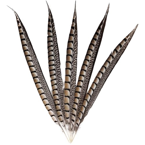 Natürliche Fasanfedern, 40,6 - 45,7 cm, Fasanenschwanzfedern, 5 Stück, für Bastelarbeiten, Heimdekoration, Hochzeit, Party, Aufführung, DIY, Kleidung, Dekoration Natürliche Fasanfedern, 40,6 - 45,7 cm, Fasanenschwanzfedern, 5 Stück, für Bastelarbeiten, Heimdekoration, Hochzeit, Party, Aufführung, DIY, Kleidung, Dekoration von ASKFNASDKMFN