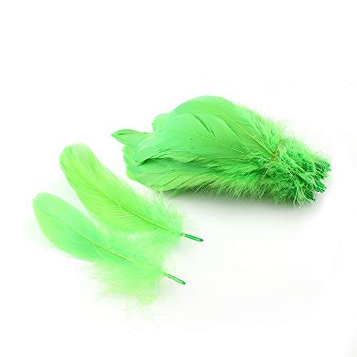 Natürliche Gänsefedern, Bekleidungszubehör, 100 Stück, Limettengrün Natürliche Gänsefedern, Bekleidungszubehör, 100 Stück, Limettengrün von ASKFNASDKMFN