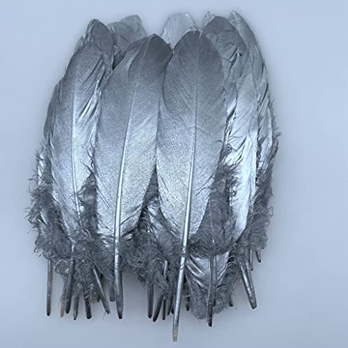 Natürliche Gänsefedern, Bekleidungszubehör, 50 Stück (Silber) von ASKFNASDKMFN