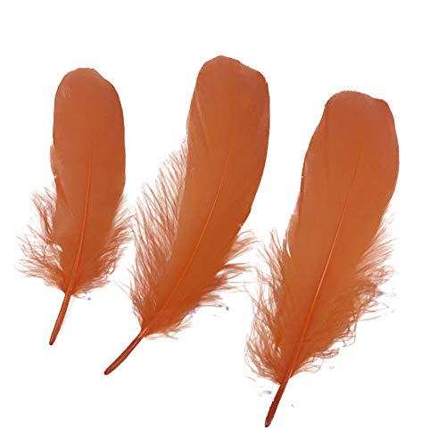 Natürliche Gänsefedern, Kleidungszubehör, 100 Stück (Orange) von ASKFNASDKMFN