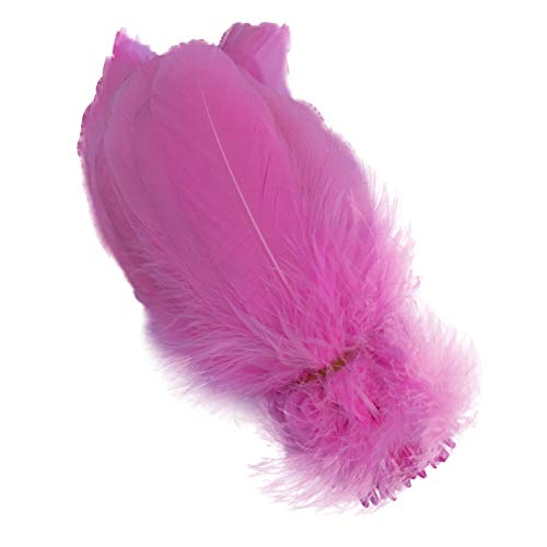 Natürliche Gänsefedern, Kleidungszubehör, 100 Stück (Rosa) von ASKFNASDKMFN