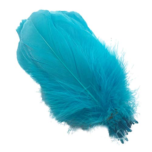 Natürliche Gänsefedern, Kleidungszubehör, 100 Stück (Türkis) von ASKFNASDKMFN