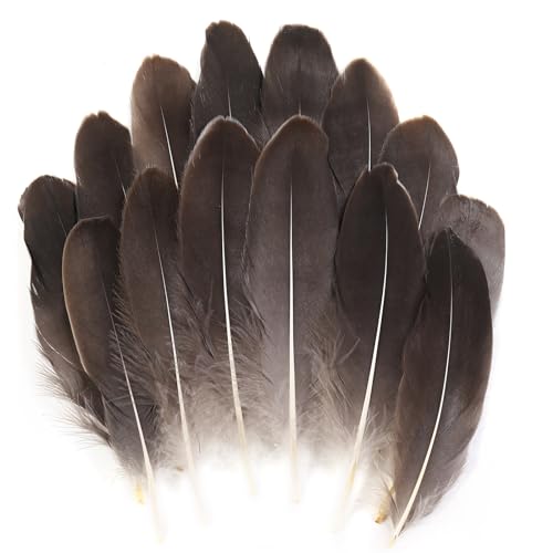 Natürliche Gänsefedern, natürlich, 15-20 cm, für Bastelarbeiten, Cosplay, Hochzeit, Party, Halloween, Dekoration, Gänsefedern, 120 Stück Natürliche Gänsefedern, natürlich, 15-20 cm, für Bastelarbeiten, Cosplay, Hochzeit, Party, Halloween, Dekoration, Gänsefedern, 120 Stück von ASKFNASDKMFN